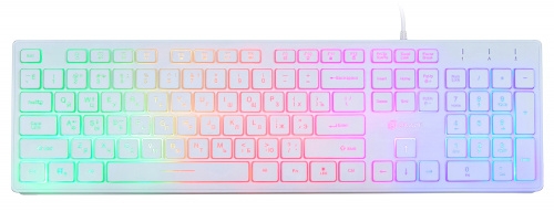 Клавиатура Oklick 550ML (White, Slim, Multimedia LED, USB) Клавиатура Oklick 550ML (White, Slim, Multimedia LED, USB)