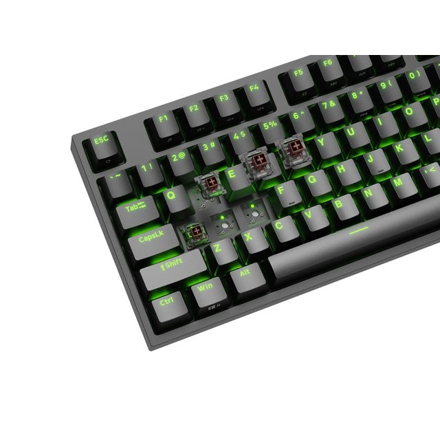 Клавиатура Genesis NKG-2071 THOR 404 TKL RGB, Backlight, Mechanical, Gaming (USB, US Layout) Клавиатура Genesis NKG-2071 THOR 404 TKL RGB, Backlight, Mechanical, Gaming (USB, US Layout)