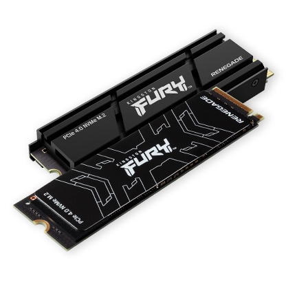 Накопитель SSD M.2 1TB Kingston FURY Renegade w/Heatsink SFYRSK/1000G (M.2 2280 PCI-E, Reading 7300 MB/s, Writing 6000 Mb/s) Накопитель SSD M.2 1TB Kingston FURY Renegade w/Heatsink SFYRSK/1000G (M.2 2280 PCI-E, Reading 7300 MB/s, Writing 6000 Mb/s)
