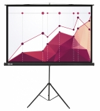 Экран для проектора Cactus Triscreen CS-PST-104x186 (104x186cm, 1:1.78, напольный)