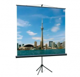 Экран для проектора Lumien Eco View LEV-100102 (180x180cm, 1:1, черный, напольный)